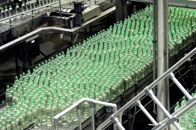 Rows of glass bottles moving along a beverage bottling conveyor