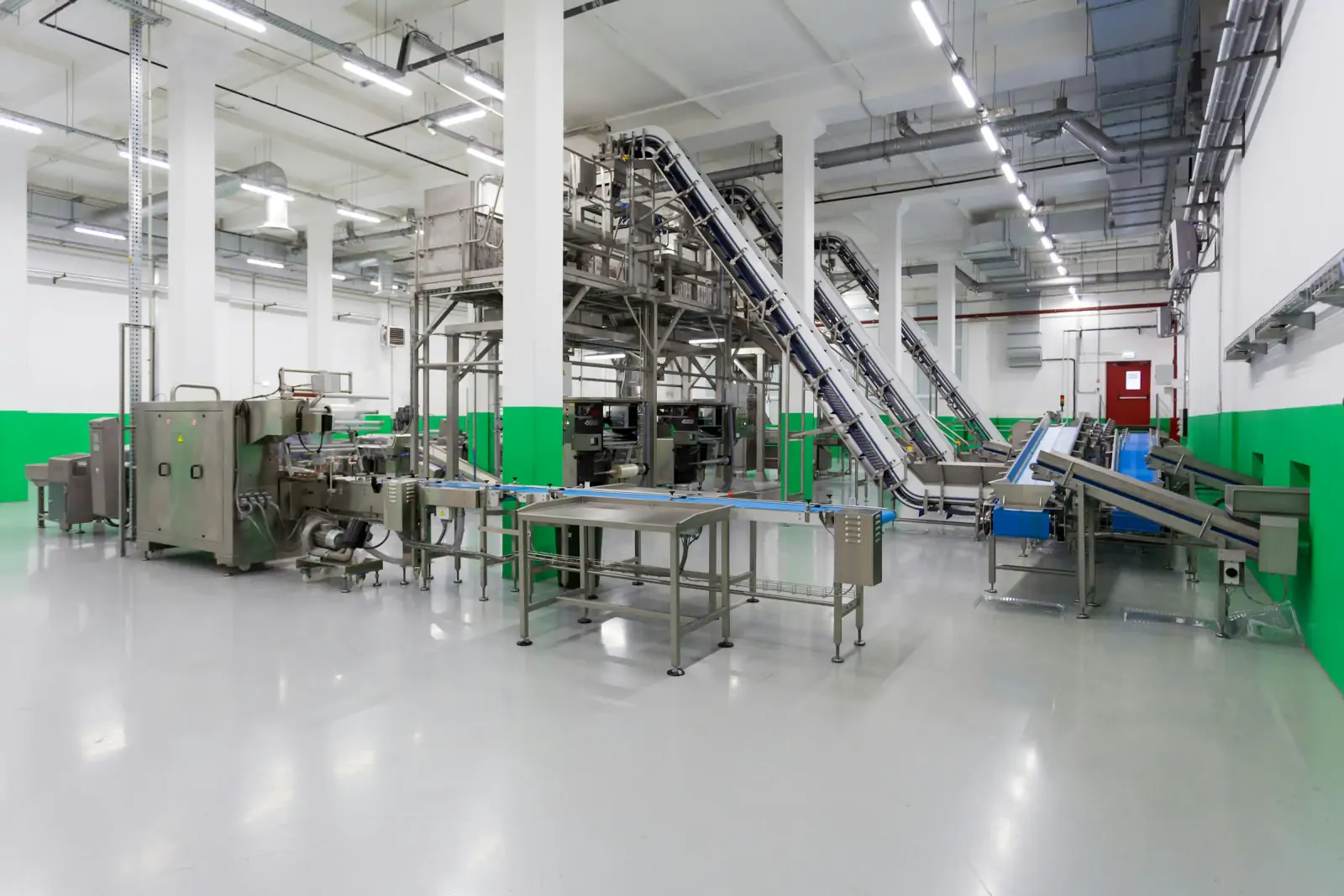 Clean food processing plant with stainless conveyors and processing equipment